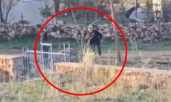 Köyde skandal: Eşeği başına çuval geçirip dövdü