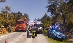 Odun Sterlerine Çarpan Otomobil Takla Attı: Sürücü Yaralı Kurtarıldı
