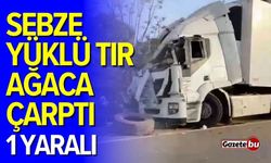 Sebze yüklü tır ağaca çarptı: 1 yaralı