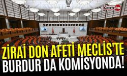 Zirai don afeti Meclis'te: Burdur da komisyonda