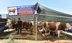 Kepez’de 9 noktada kurban kesim alanı