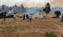 Muğla itfaiyesi 6 ayda 380 anız yangınına müdahale etti