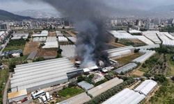Fide üretim merkezinde yangın