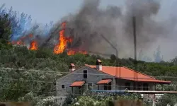 Foça'da Büyük Orman Yangını: Evlere Sıçradı