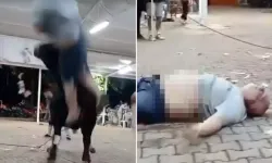 Muğla'da Şoke Eden Anlar: Boğa Havaya Fırlattı!