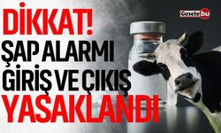 Dikkat! Şap alarmı: Giriş ve çıkış yasaklandı