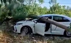 Radar aracının üzerine ağaç devrildi