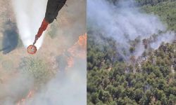 Denizli’de orman yangınına havadan ve karadan müdahale ediliyor