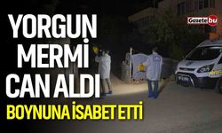 Yorgun mermi can aldı! Boynuna isabet etti