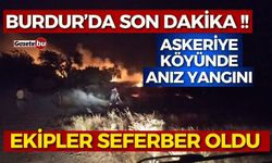 Burdur'da Anız Yangını 30 Dönüm Zarar Gördü