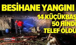 Besihane yangını: 14 küçükbaş hayvan ve 50 hindi öldü