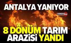 Antalya yanıyor! 8 dönümlük tarım arazisi zarar gördü