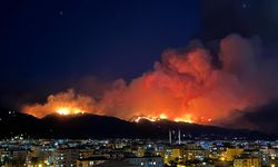 Hatay'da orman yangınıyla ilgili 1 kişi tutuklandı