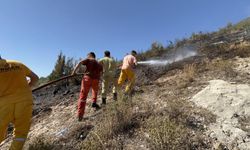 Hatay'da orman yangını kısa sürede kontrol altına alındı