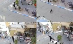 Sokak kedisini defalarca tekmeledi! O anlar kamerada