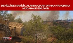Denizli'de makilik alanda çıkan orman yangınına müdahale ediliyor
