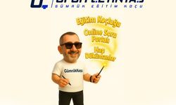 Gümrük Koçu Kimdir?