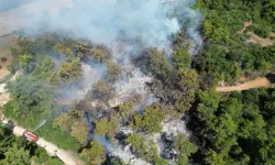 Manavgat'ta 3 hektar alan yandı