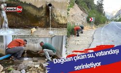 Dağdan çıkan su, vatandaşı serinletiyor