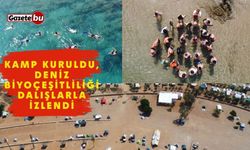 Kamp kuruldu, deniz biyoçeşitliliği dalışlarla izlendi
