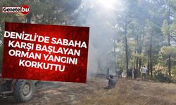 Denizli’de sabaha karşı başlayan orman yangını hızlı müdahaleyle söndürüldü