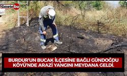 Bucak Gündoğdu Köyü’nde Arazi Yangını: Arazinin Bir Kısmı Küle Döndü