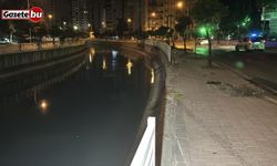Adana'da otomobil sulama kanalına düştü: 3 yaralı
