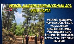 Mersin jandarmasından ormanlara sıkı koruma