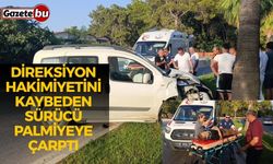 Direksiyon hakimiyetini kaybeden sürücü palmiyeye çarptı