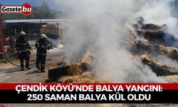 Çendik Köyü’nde Balya Yangını: 250 Saman Balya Kül Oldu