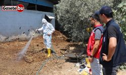 Hatay’da Akdeniz meyve sineğiyle mücadele sürüyor