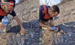 İtfaiyeciden, alevler içinde mahsur kalan kaplumbağaya can suyu