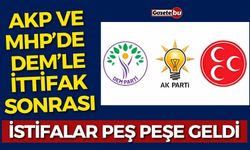 AKP ve MHP'de DEM'LE İttifak Sonrası İstifalar Peş Peşe Geldi