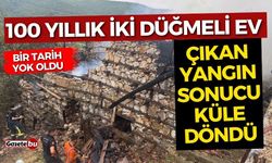 Anızda çıkan yangın asırlık düğmeli evleri küle döndürdü