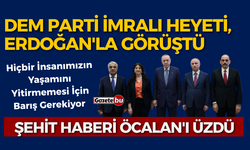 DEM Parti İmralı heyeti, Erdoğan'la görüştü