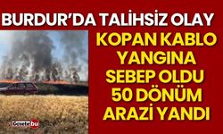 Burdur'da çıkan yangında 50 dönüm arazi yandı