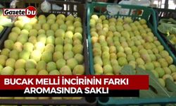 Bucak Melli İncirinin Farkı Aromasında Saklı