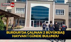 Burdur’da Çalınan 2 Büyükbaş Hayvan 1 Günde Bulundu