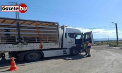 Jandarma ekiplerinden düzensiz göçmen operasyonu