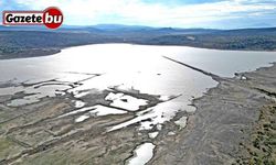 İzmir’deki kuraklık Türkiye’nin kışlık tarımını tehdit ediyor