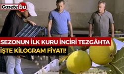 Sezonun İlk Kuru İnciri Tezgâhta: İşte Kilogram Fiyatı!
