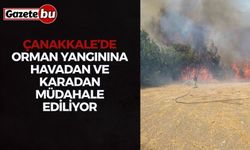 Çanakkale’de orman yangınına havadan ve karadan müdahale ediliyor