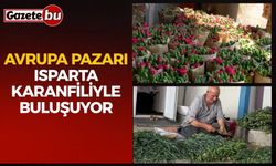 Avrupa Pazarı Isparta Karanfiliyle Buluşuyor