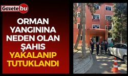 Orman yangınına neden olan şahıs yakalanıp tutuklandı