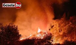 Besni’de 4 farklı noktada yangın