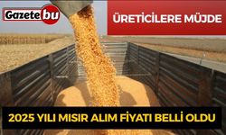 Burdur’da Mısır Alım Fiyatları Açıklandı