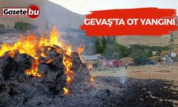 Gevaş’ta ot yangını