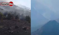 Yüksekova Dağlıca köyünde orman yangını