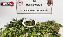 Mersin’de uyuşturucu operasyonu