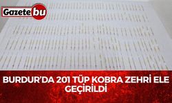 Burdur’da 201 Tüp Kobra Zehri Ele Geçirildi